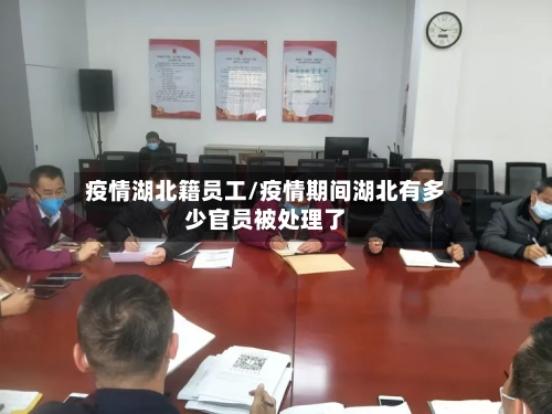 疫情湖北籍员工/疫情期间湖北有多少官员被处理了
