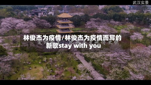 林俊杰为疫情/林俊杰为疫情而写的新歌stay with you
