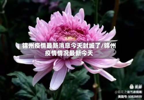锦州疫情最新消息今天封城了/锦州疫情情况最新今天-第2张图片