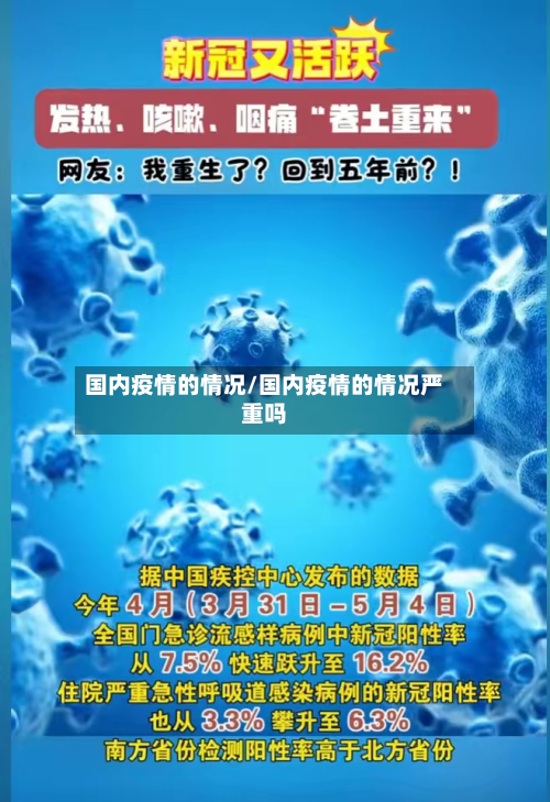 国内疫情的情况/国内疫情的情况严重吗