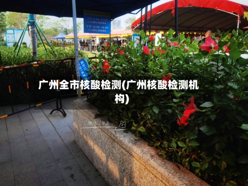 广州全市核酸检测(广州核酸检测机构)-第2张图片