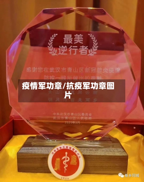 疫情军功章/抗疫军功章图片
