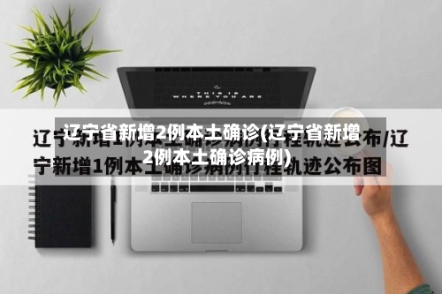 辽宁省新增2例本土确诊(辽宁省新增2例本土确诊病例)-第2张图片