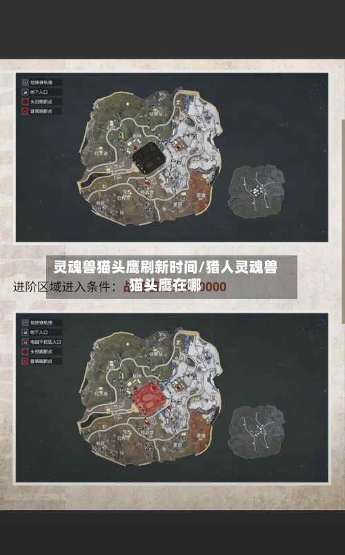 灵魂兽猫头鹰刷新时间/猎人灵魂兽猫头鹰在哪