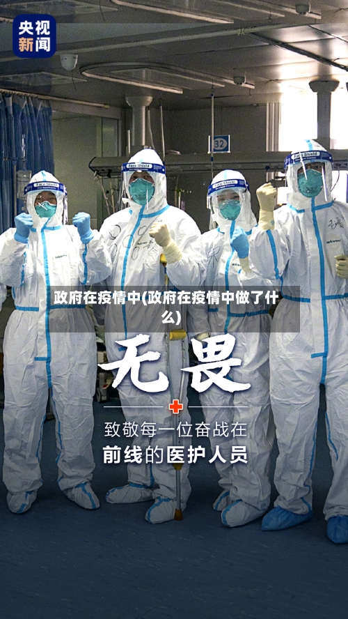 政府在疫情中(政府在疫情中做了什么)-第3张图片
