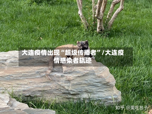 大连疫情出现“超级传播者”/大连疫情感染者轨迹