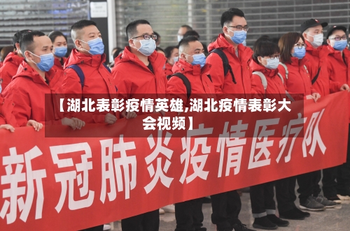 【湖北表彰疫情英雄,湖北疫情表彰大会视频】