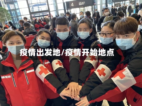 疫情出发地/疫情开始地点