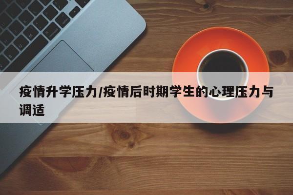 疫情升学压力/疫情后时期学生的心理压力与调适