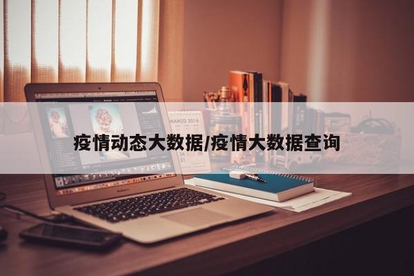 疫情动态大数据/疫情大数据查询