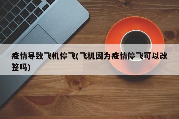 疫情导致飞机停飞(飞机因为疫情停飞可以改签吗)