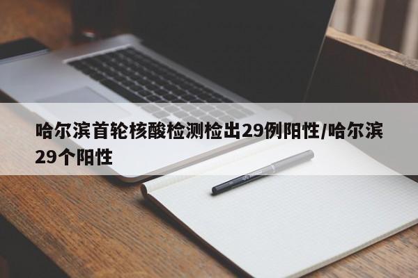 哈尔滨首轮核酸检测检出29例阳性/哈尔滨29个阳性
