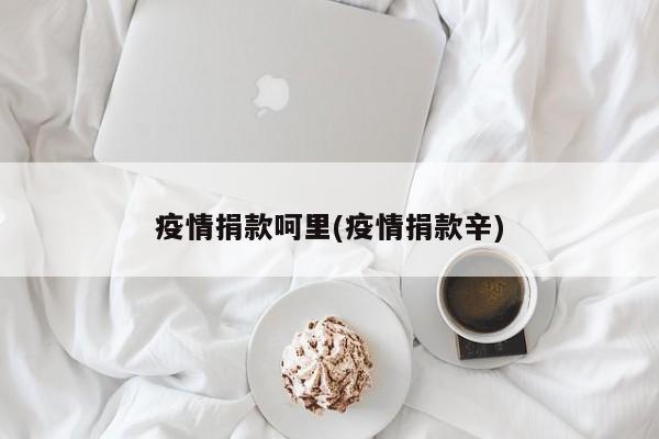 疫情捐款呵里(疫情捐款辛)