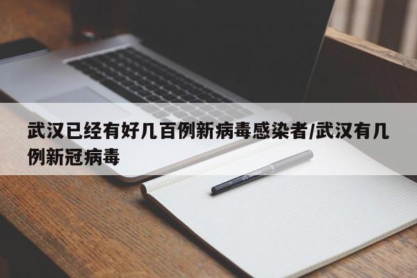 武汉已经有好几百例新病毒感染者/武汉有几例新冠病毒