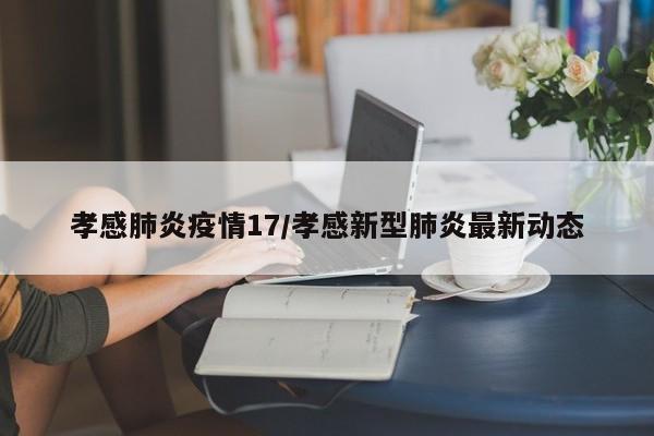孝感肺炎疫情17/孝感新型肺炎最新动态