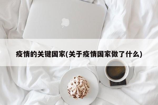 疫情的关键国家(关于疫情国家做了什么)