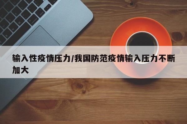输入性疫情压力/我国防范疫情输入压力不断加大