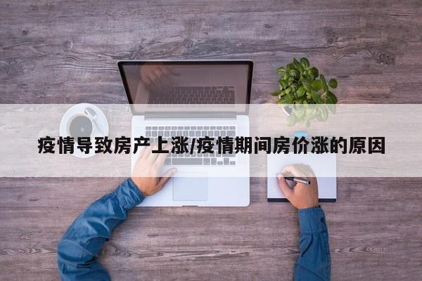 疫情导致房产上涨/疫情期间房价涨的原因