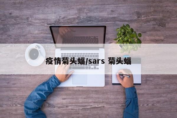 疫情菊头蝠/sars 菊头蝠